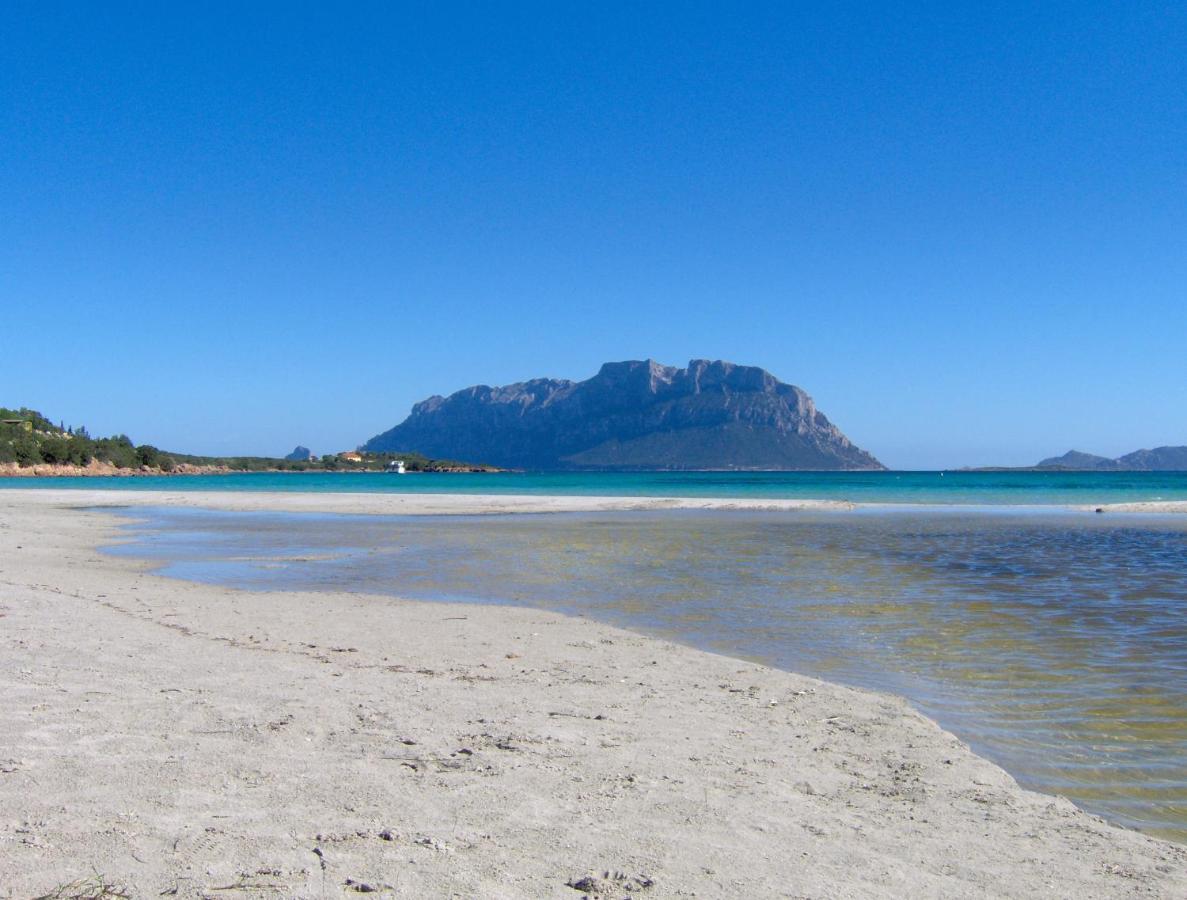Il Mare Di Olbia Holiday Apartment Экстерьер фото